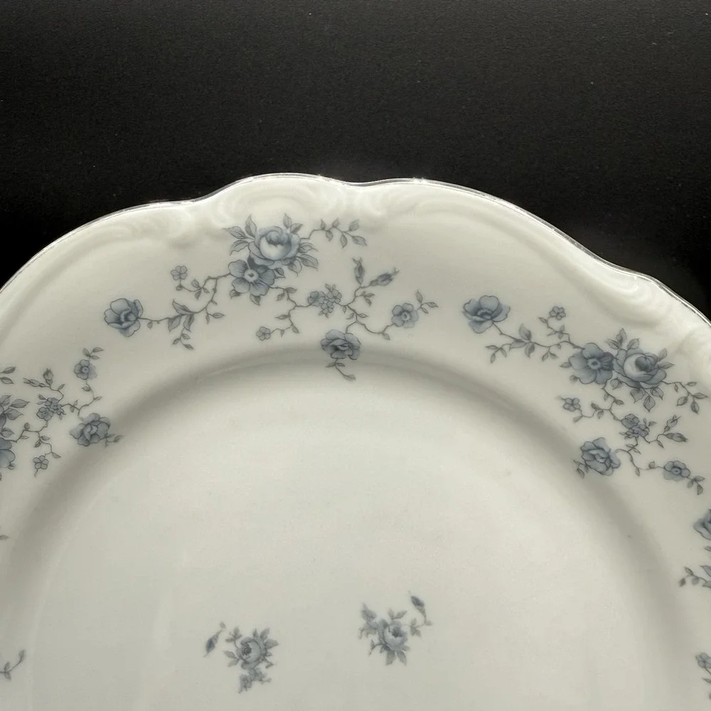 Johann Haviland Blue Garland Bavarian Germany China 10